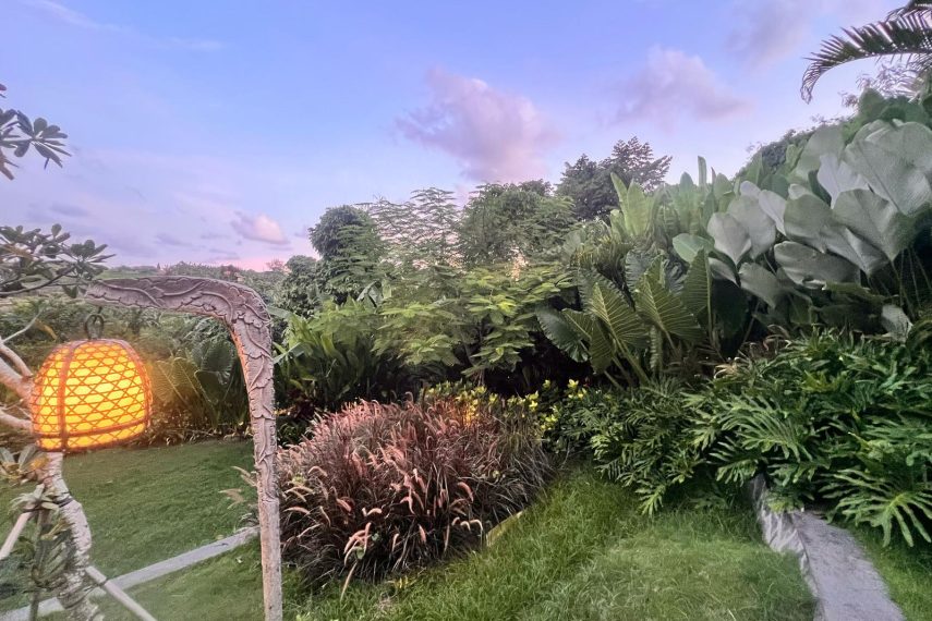 WhatsApp Image 2026-03-11 at 3.17.12 PM