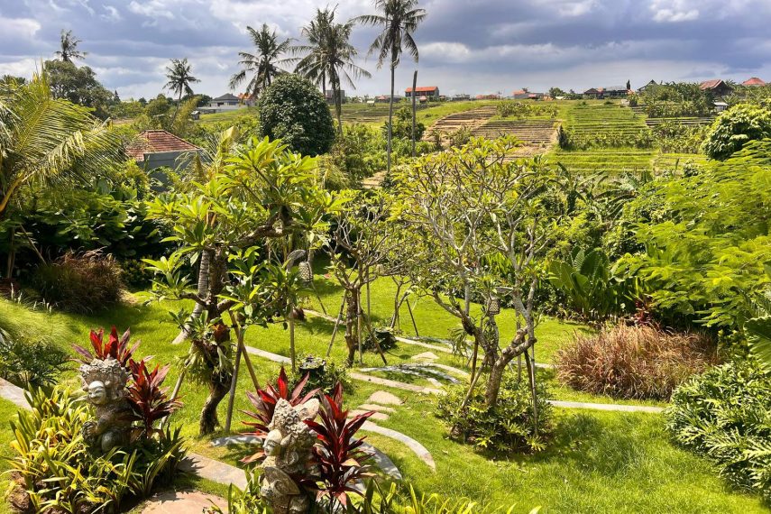 WhatsApp Image 2026-03-11 at 3.17.13 PM