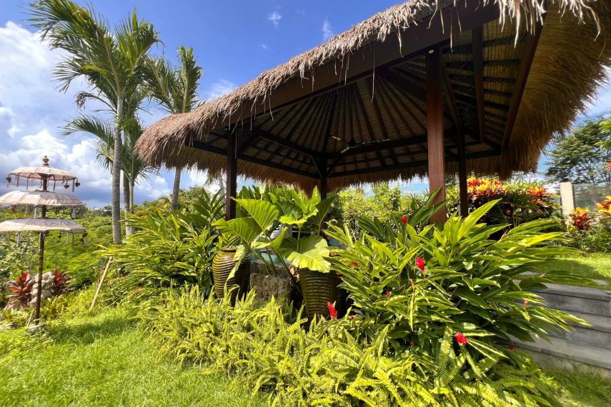 WhatsApp Image 2026-03-11 at 3.17.14 PM