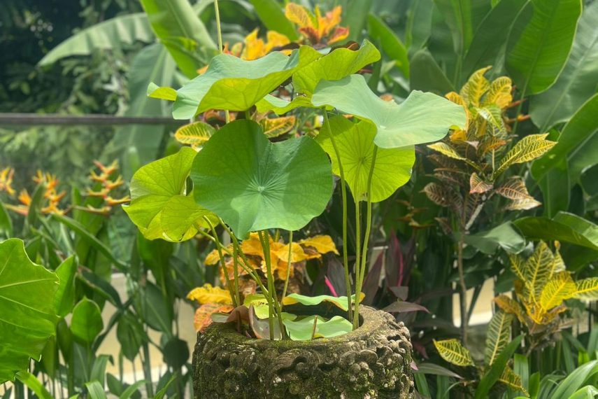 WhatsApp Image 2026-03-11 at 3.17.15 PM