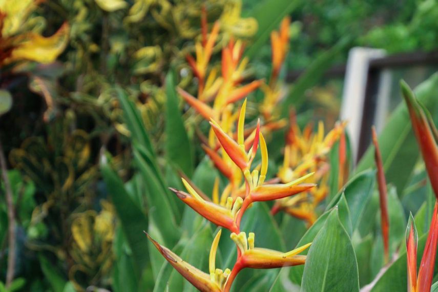 WhatsApp Image 2026-03-11 at 3.17.18 PM