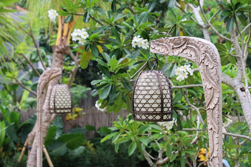 WhatsApp Image 2026-03-11 at 3.17.21 PM